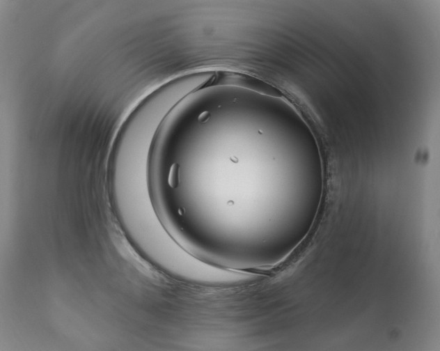 X0000112460892200908241256