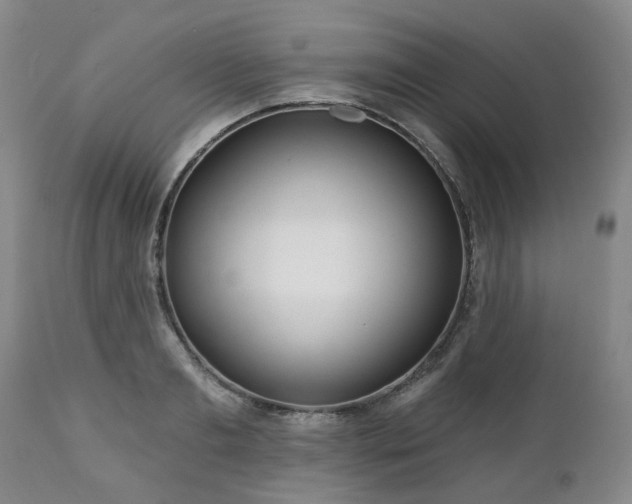 X0000112460893200908241256