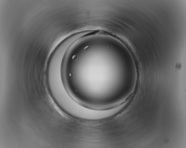 X0000112460894200908241256