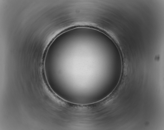 X0000112460895200908241256