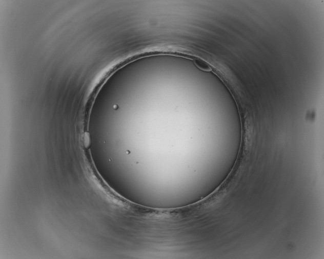 X0000112460896200908241256