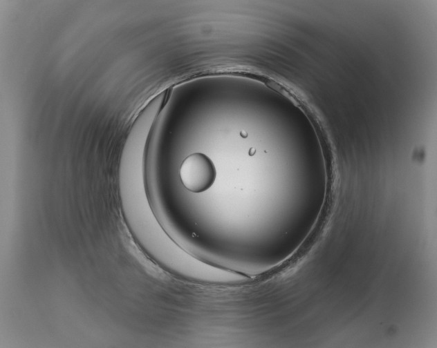 X0000112460897200908241256