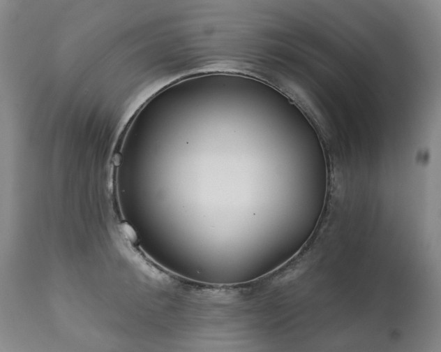 X0000112460900200908241256