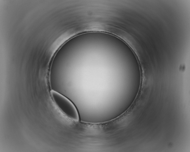 X0000112460901200908241256