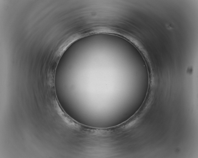 X0000112460905200908241256