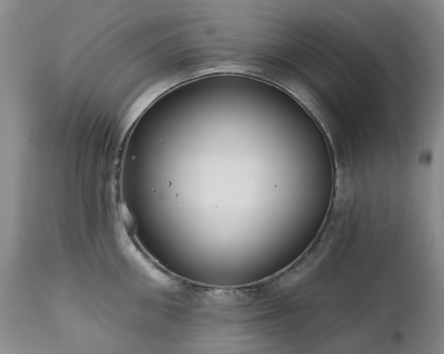 X0000112460906200908241256