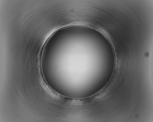 X0000112460907200908241256