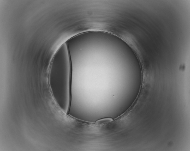 X0000112460908200908241256