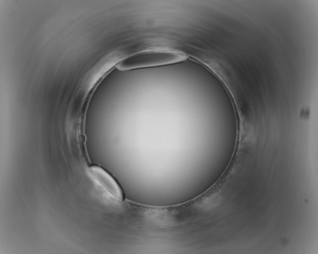 X0000112460909200908241256