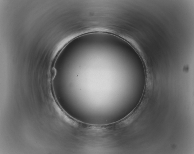 X0000112460910200908241256