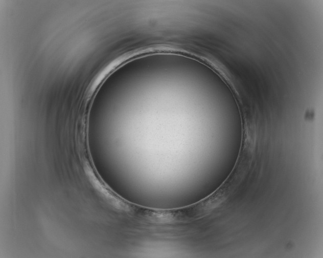 X0000112460911200908241256