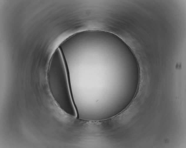 X0000112460912200908241256