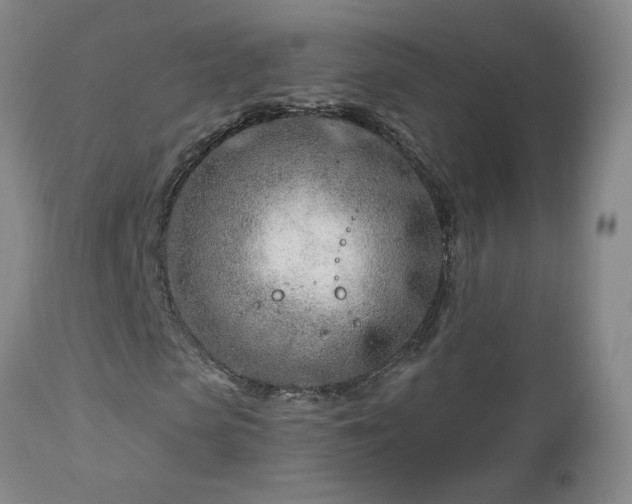 X0000112460913200908241255