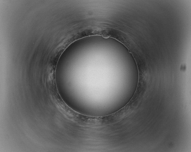 X0000112460914200908241255