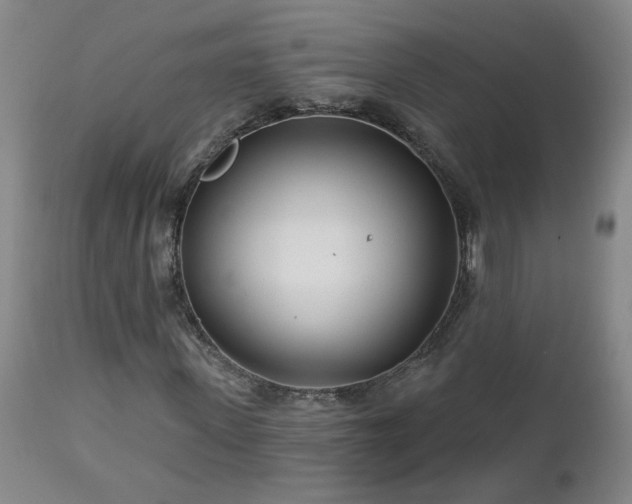 X0000112460915200908241255