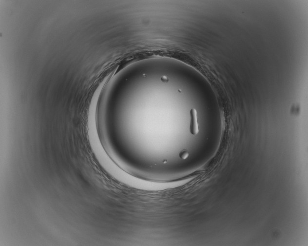 X0000112460916200908241255