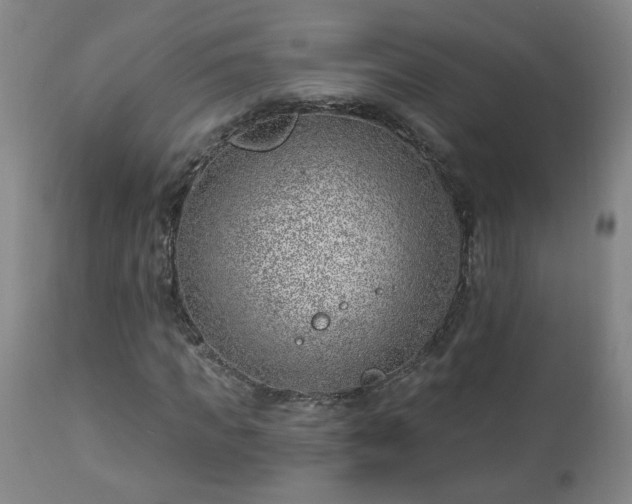 X0000112460917200908241255