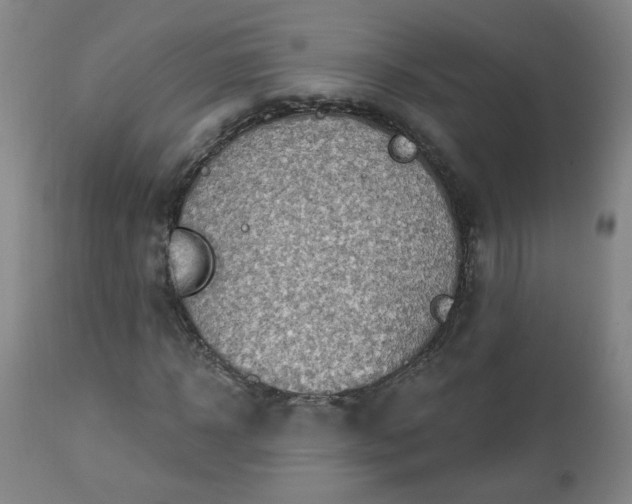 X0000112460918200908241255