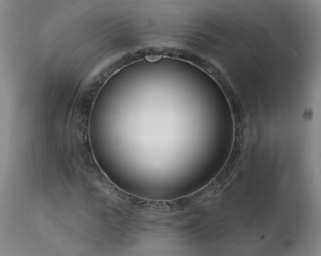 X0000112460919200908241255