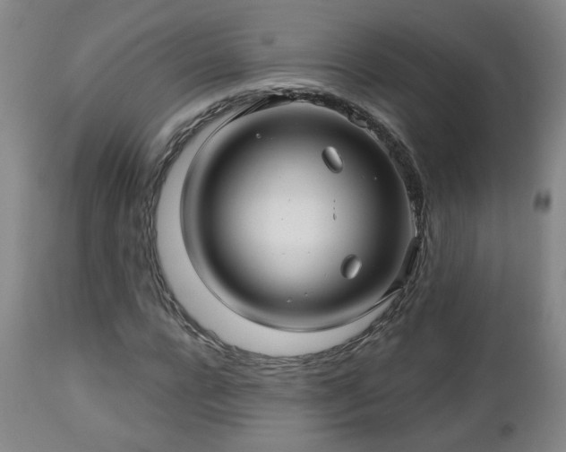 X0000112460920200908241255