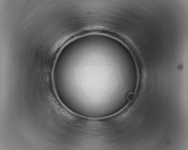 X0000112460921200908241255