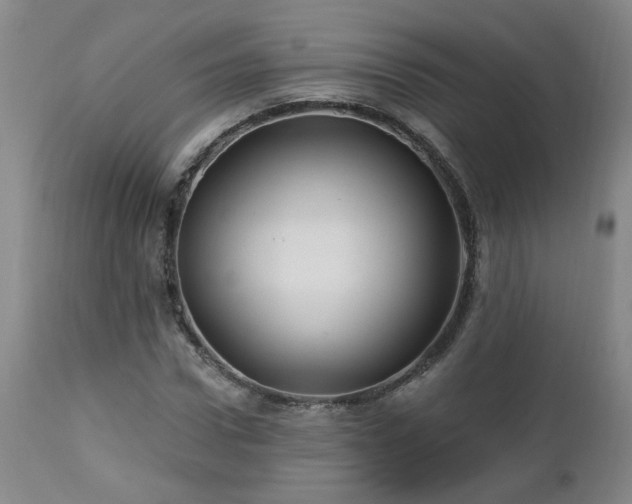 X0000112460922200908241255