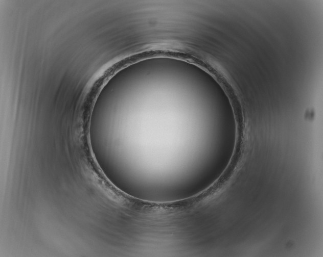 X0000112460923200908241255