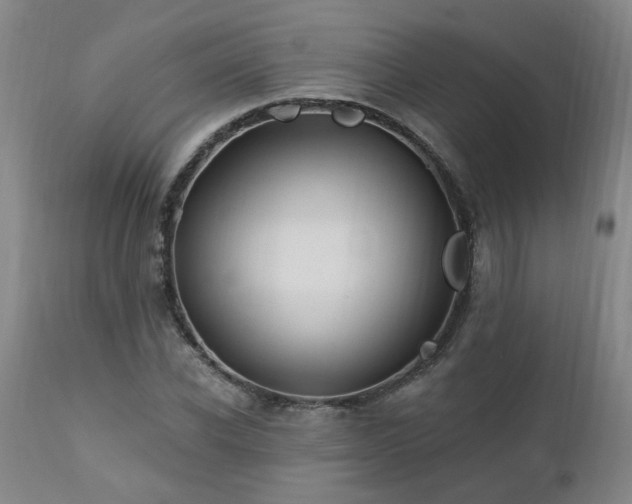 X0000112460926200908241255