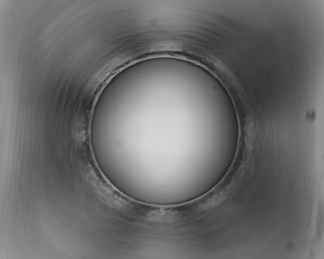 X0000112460929200908241255