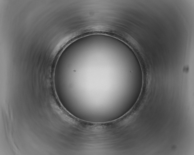 X0000112460930200908241255