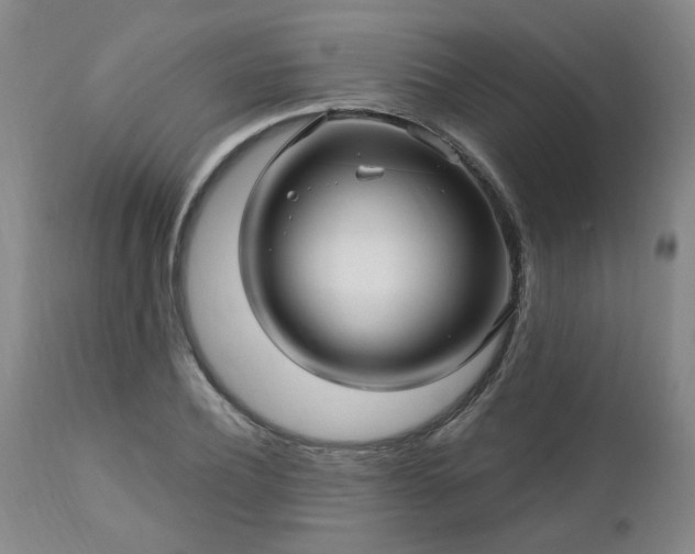 X0000112460932200908241255