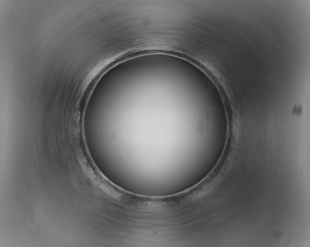 X0000112460933200908241255