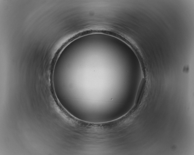 X0000112460935200908241255