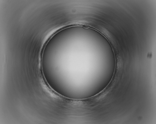 X0000112460940200908241255