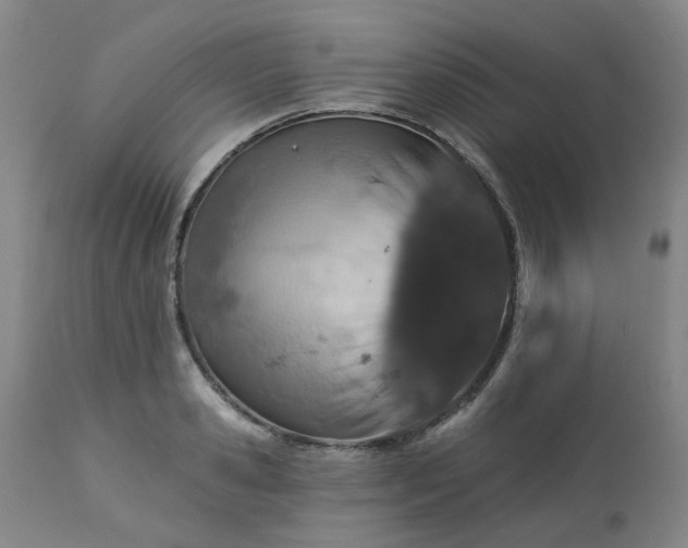 X0000112460941200908241255