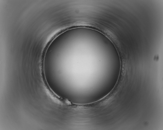 X0000112460942200908241255