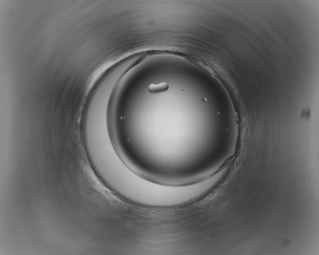 X0000112460944200908241255