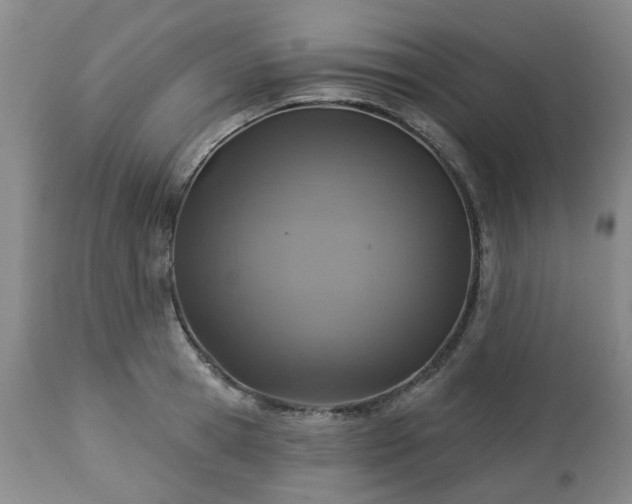 X0000112460945200908241255