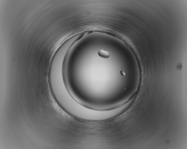 X0000112460946200908241255