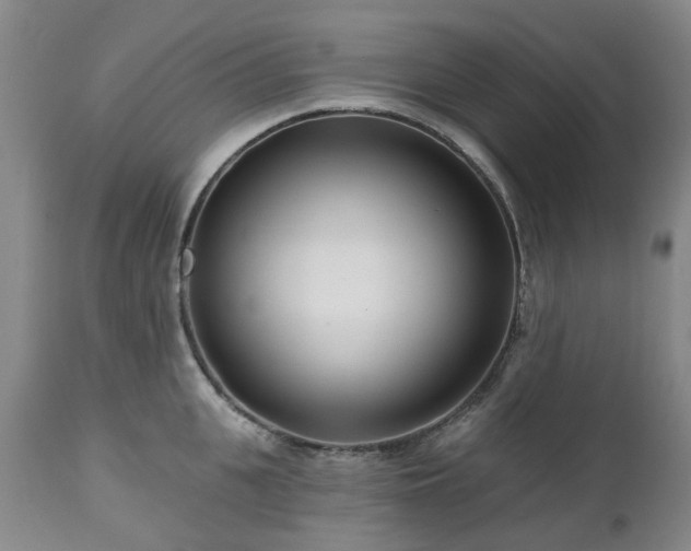 X0000112460951200908241256