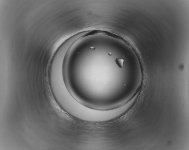 X0000112460952200908241256