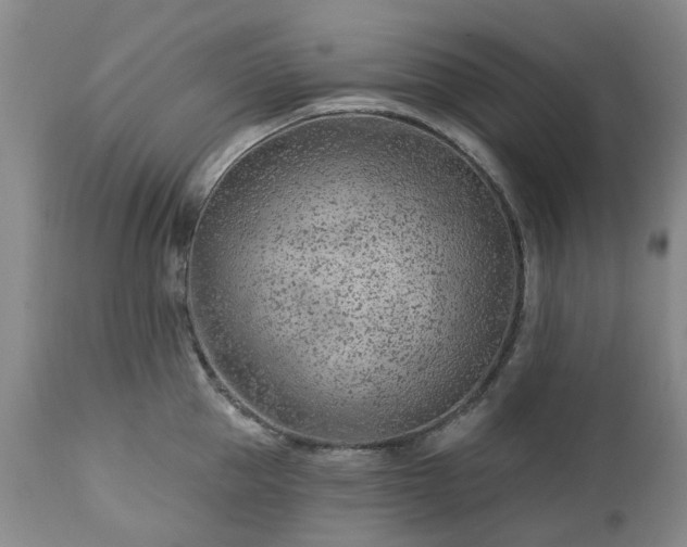 X0000112460953200908241256