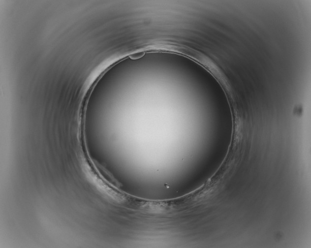 X0000112460955200908241256