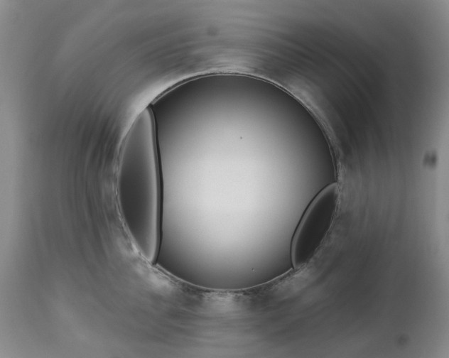 X0000112460956200908241256