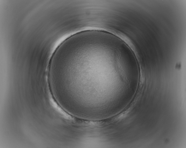 X0000112460958200908241256