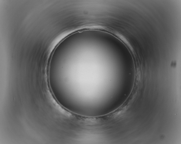 X0000112460959200908241256