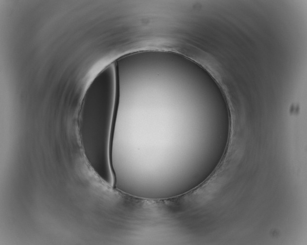 X0000112460960200908241256