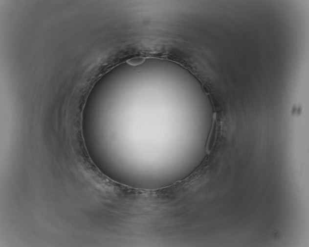 X0000112460961200908241255