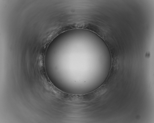 X0000112460962200908241255