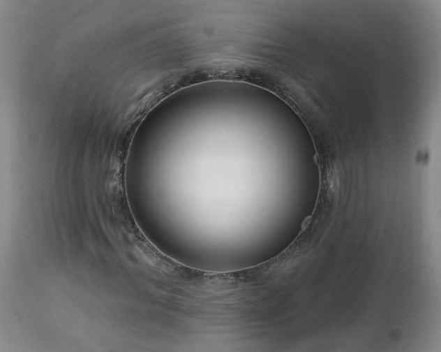 X0000112460964200908241255